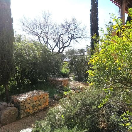 T2 36 M2, Rdc De Villa, Clim, Gd Jardin Clos, Animx Ok, Quartier Mt Faron Tres Calme, Wifi, Parking Toulon Bagian luar foto