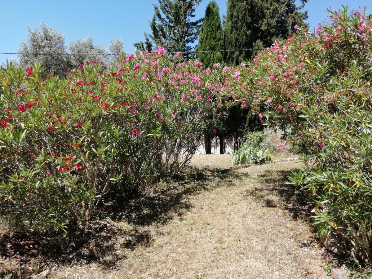 T2 36 M2, Rdc De Villa, Clim, Gd Jardin Clos, Animx Ok, Quartier Mt Faron Tres Calme, Wifi, Parking Toulon Bagian luar foto