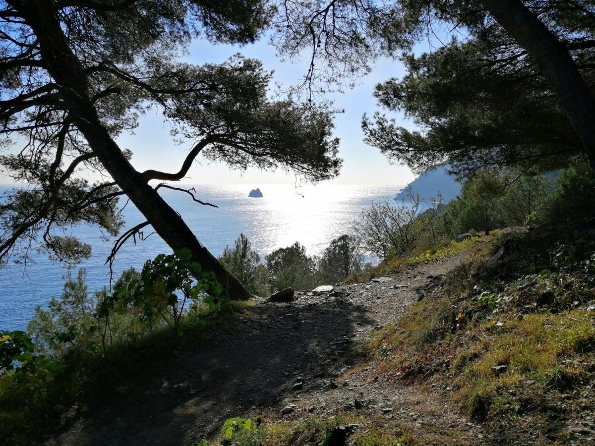 T2 36 M2, Rdc De Villa, Clim, Gd Jardin Clos, Animx Ok, Quartier Mt Faron Tres Calme, Wifi, Parking Toulon Bagian luar foto