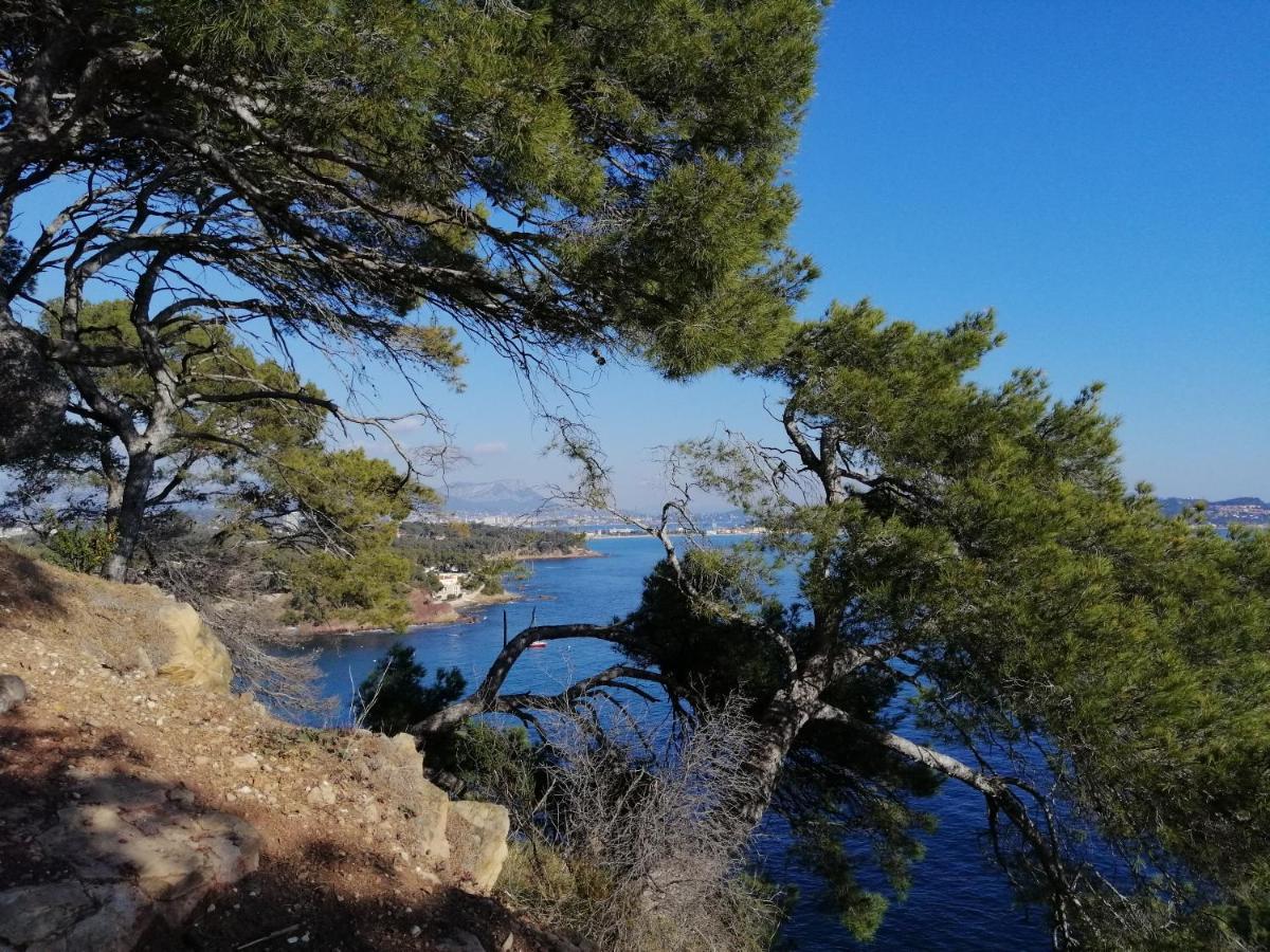 T2 36 M2, Rdc De Villa, Clim, Gd Jardin Clos, Animx Ok, Quartier Mt Faron Tres Calme, Wifi, Parking Toulon Bagian luar foto